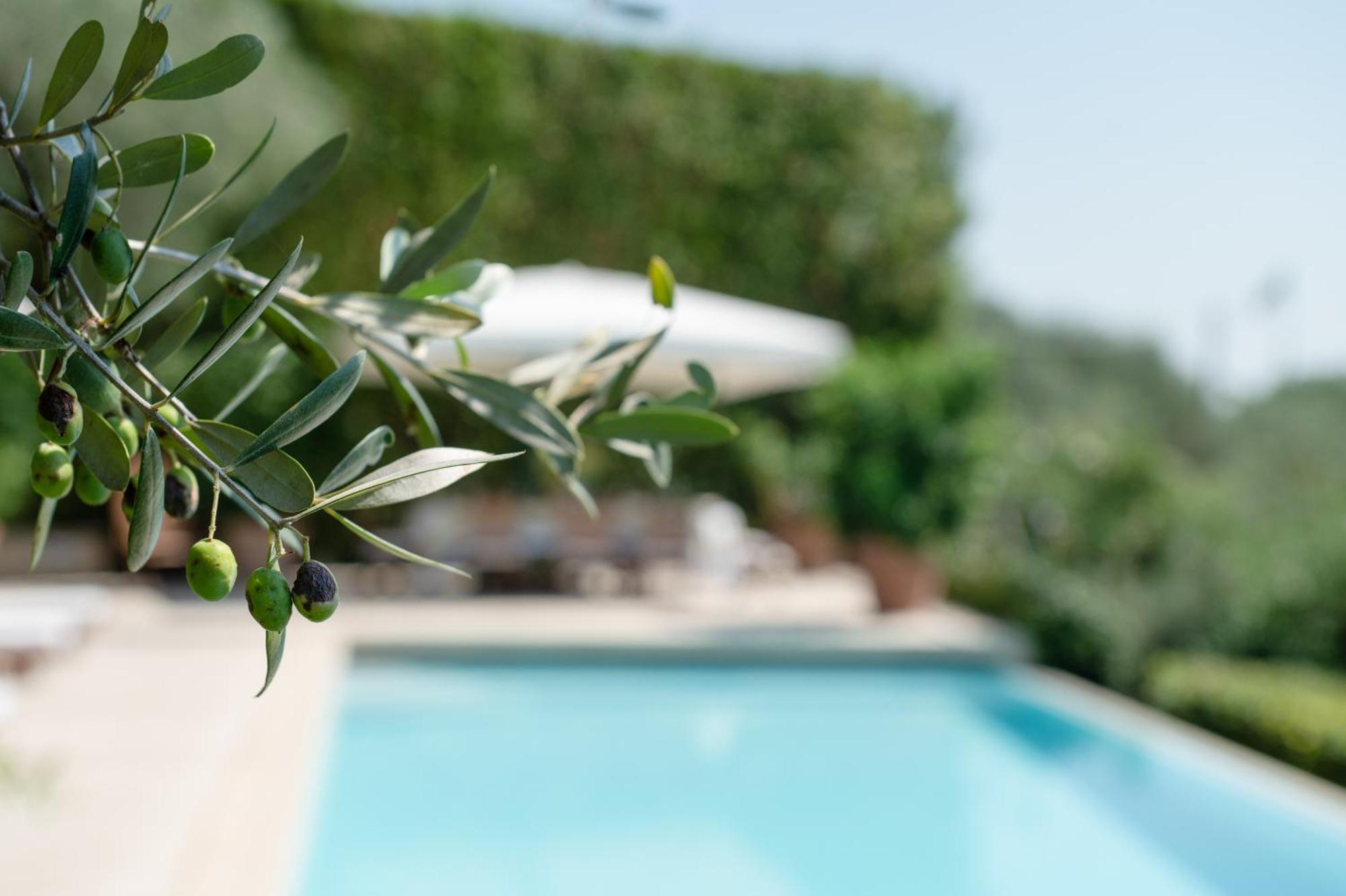 Villa Eden Forte Dei Marmi With Private Infinity Pool Santa Lucia  Εξωτερικό φωτογραφία